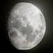 Lune